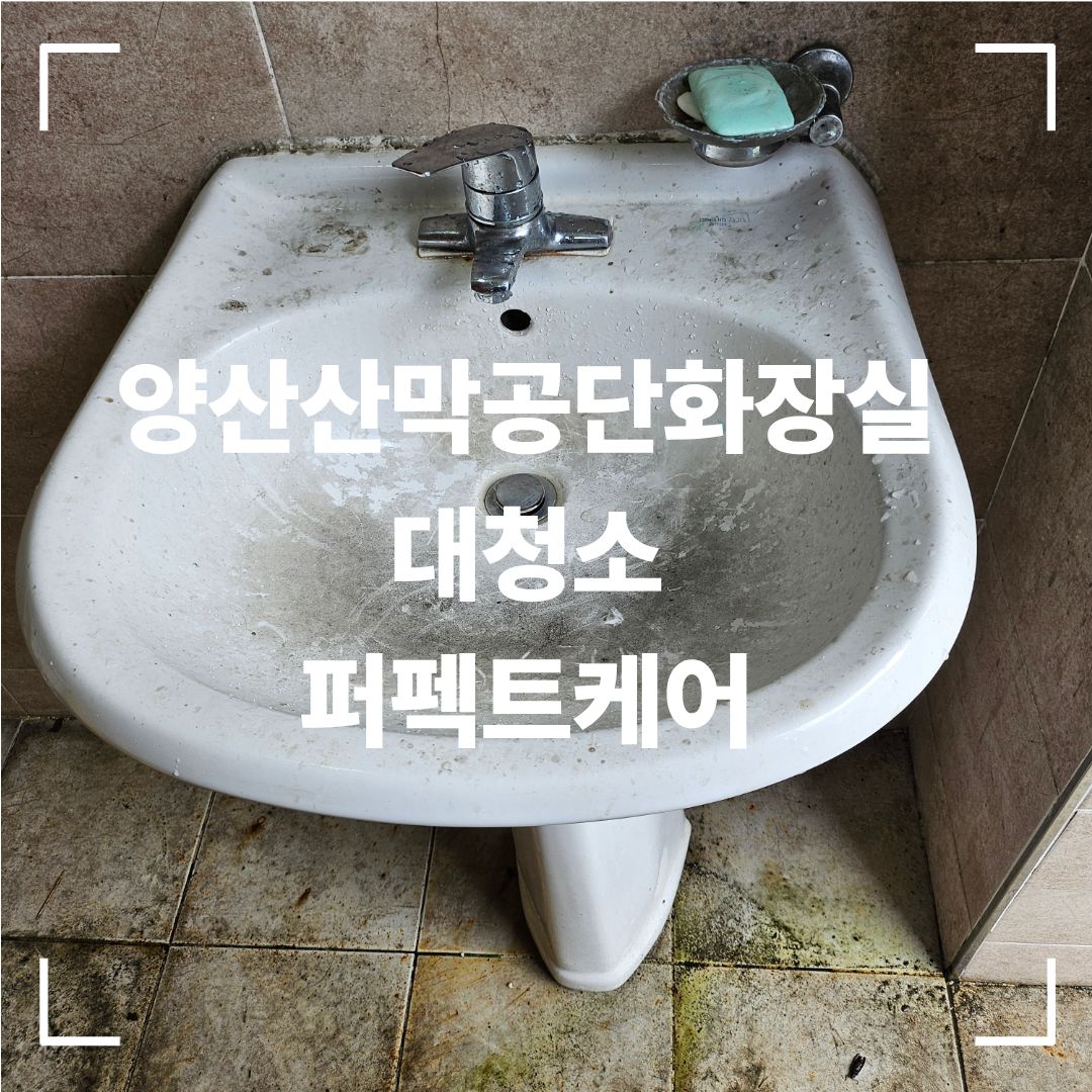 양산 화장실 소변기 청소 후