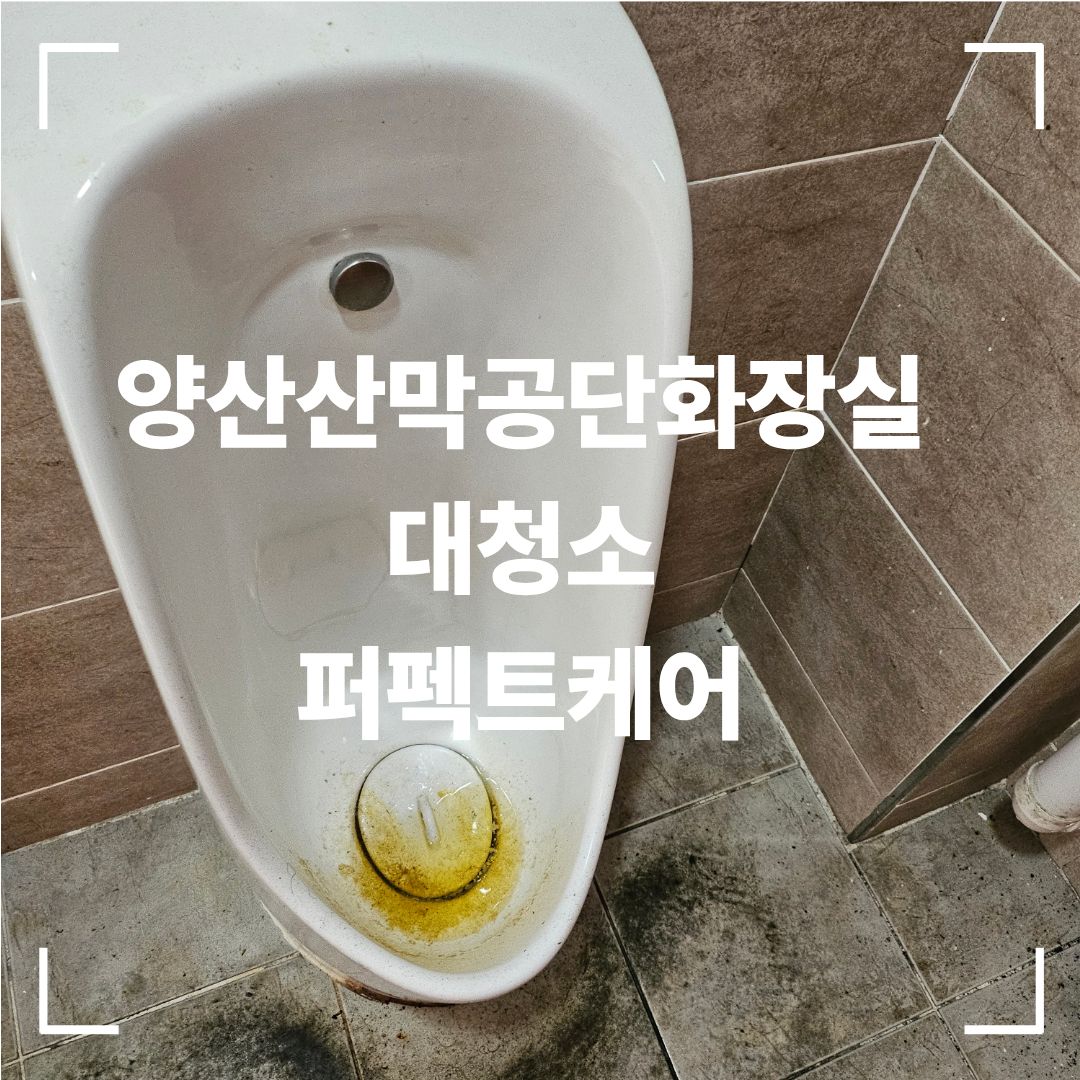 양산 화장실 대청소 전 오염