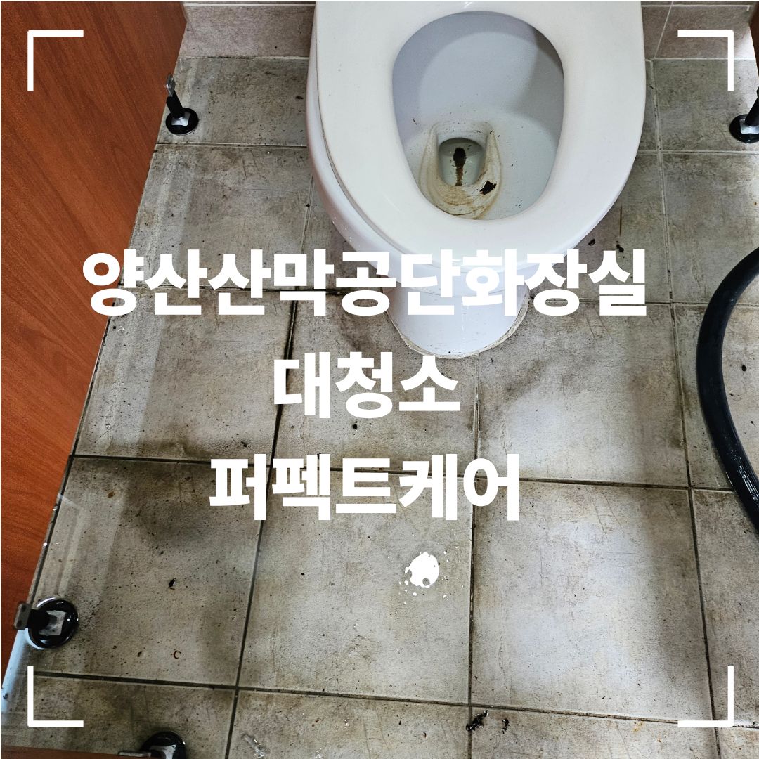양산 화장실 변기 주변 오염