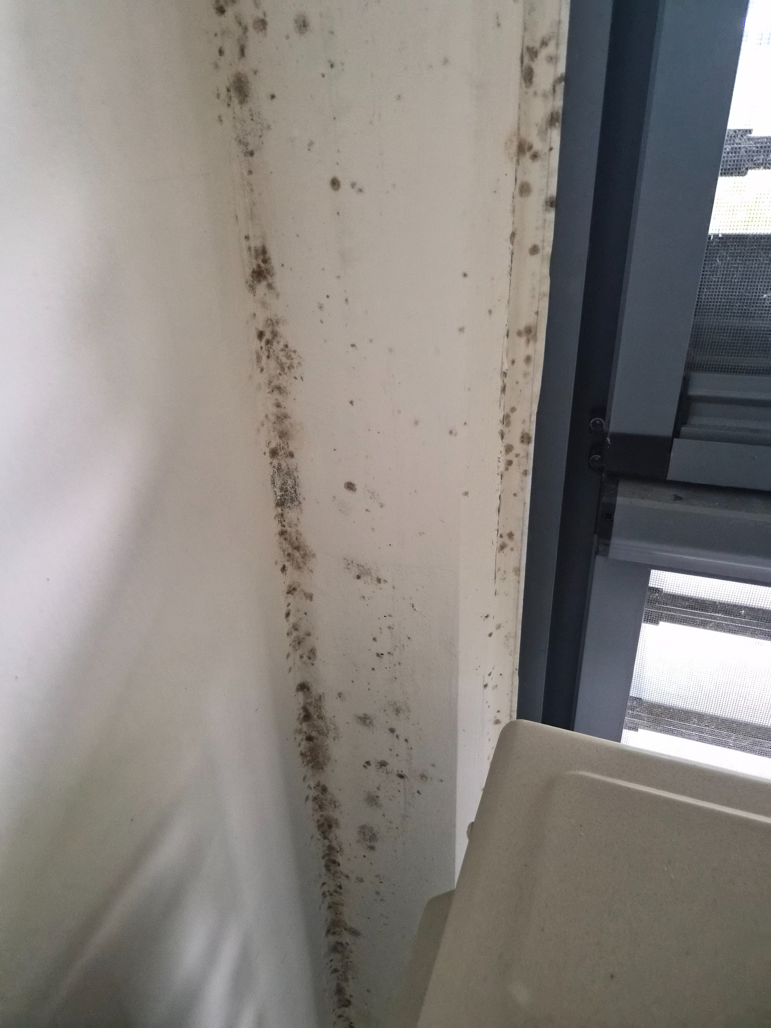 에어컨 배관 주변 곰팡이 오염
